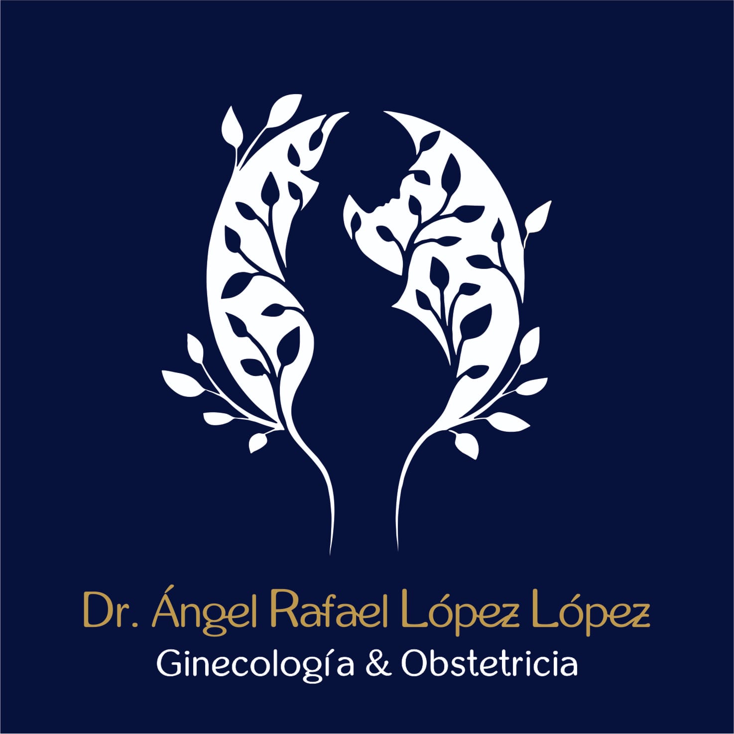 ANGEL LOPEZ GINECOLOGIA Y OBSTETRICIA